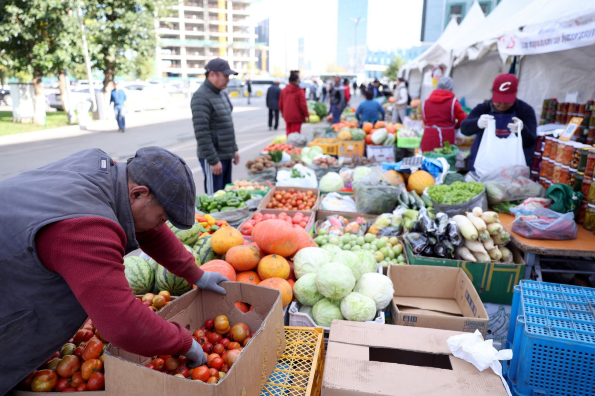 “Намрын ногоон өдрүүд”-ээр 2.2 тэрбум төгрөгийн борлуулалт хийжээ